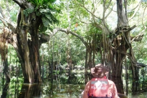 Leticia: tour in canoa sull'Amazzonia con bagno