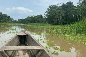 Leticia: tour in canoa sull'Amazzonia con bagno