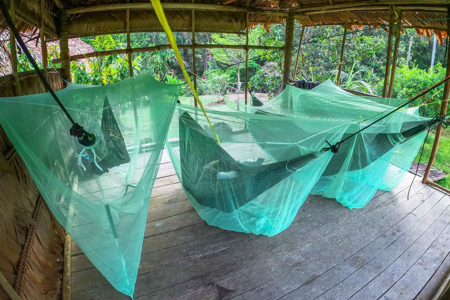 レティシア：ティクナ族の先住民と行くアマゾンジャングルサバイバルツアー