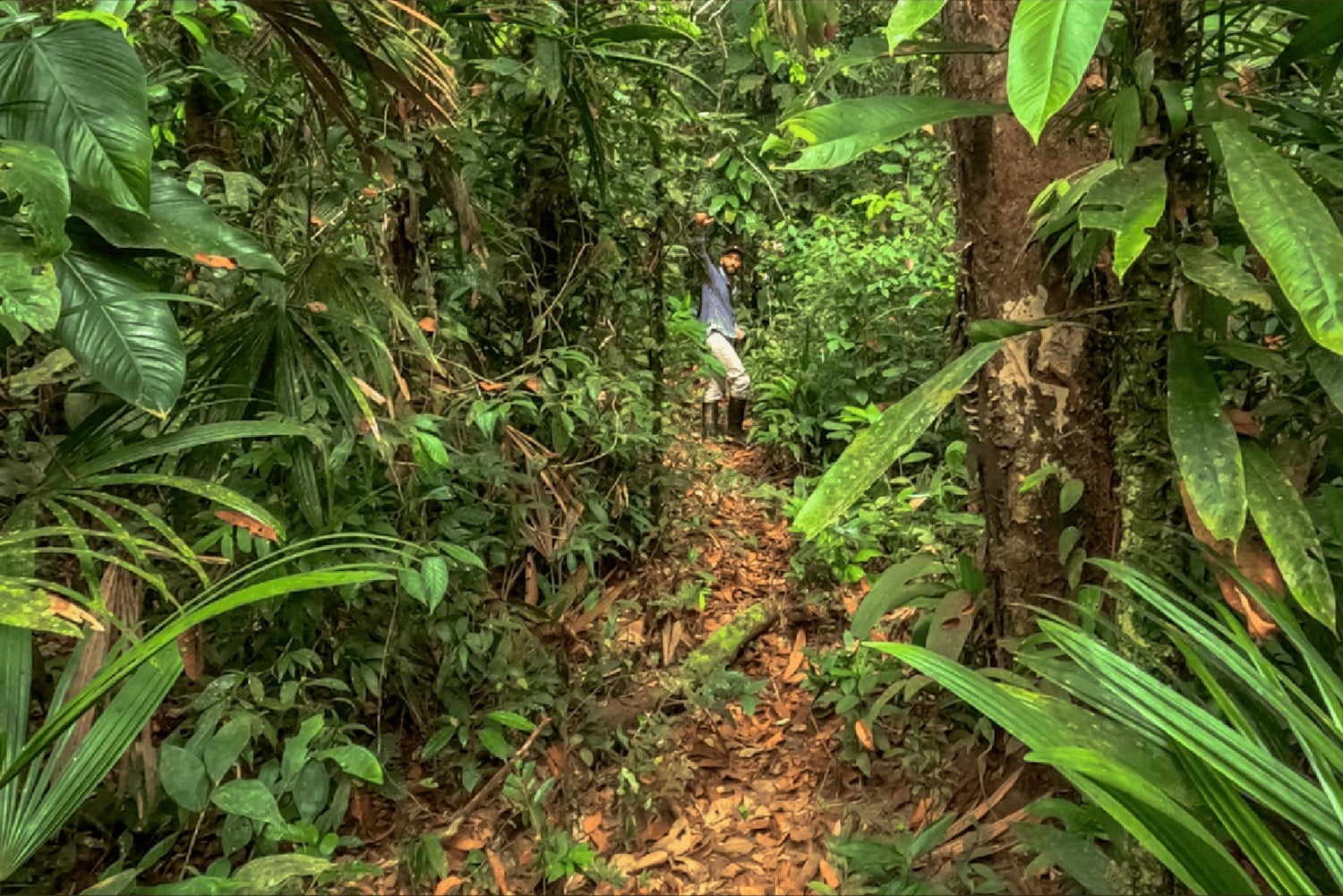 レティシア：ティクナ族の先住民と行くアマゾンジャングルサバイバルツアー
