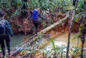 Leticia: sopravvivenza nella giungla amazzonica con i nativi Ticuna