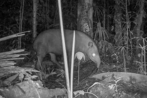 レティシア：ティクナ族の先住民と行くアマゾンジャングルサバイバルツアー