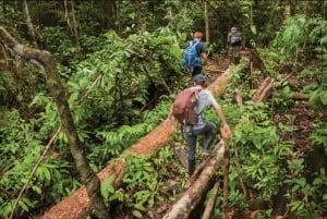 レティシア：ティクナ族の先住民と行くアマゾンジャングルサバイバルツアー