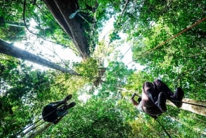 Leticia - Canopy in the Jungle