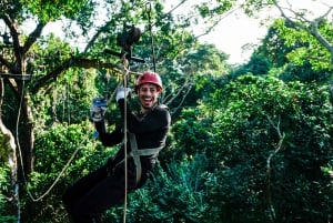 Leticia - Canopy in the Jungle