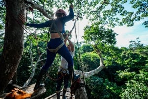 Leticia - Canopy in the Jungle