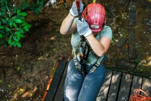 Leticia - Canopy in the Jungle