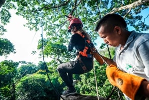 Leticia - Canopy in the Jungle