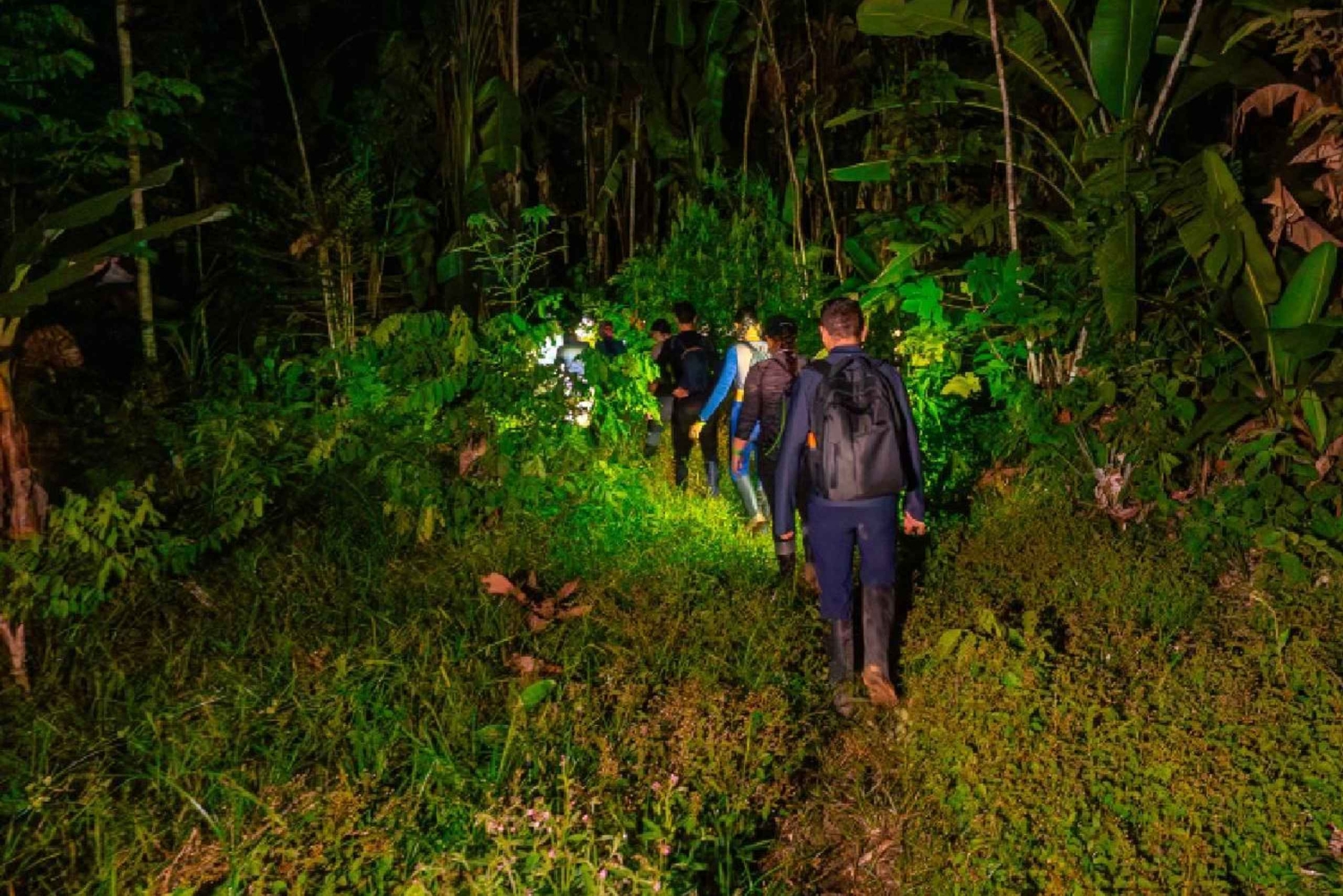 Leticia Sademetsäretki ja esi-isien luento puumajassa 2 päivää