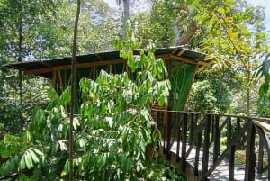 Leticia Jungle Tour and Ancestral Talk Tree House 2 Days
