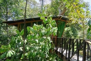 Leticia Sademetsäretki ja esi-isien luento puumajassa 2 päivää