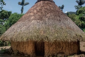 Santa Marta: Lost City 4 days and 3 nights