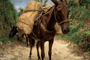 Santa Marta: Lost City 4 days and 3 nights