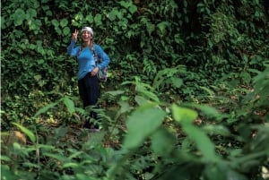 Santa Marta: Lost City 4 days and 3 nights
