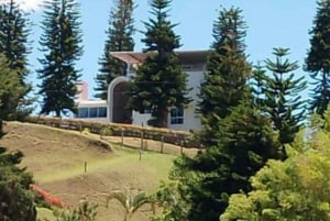 Paseo en barco de lujo - Guatapé