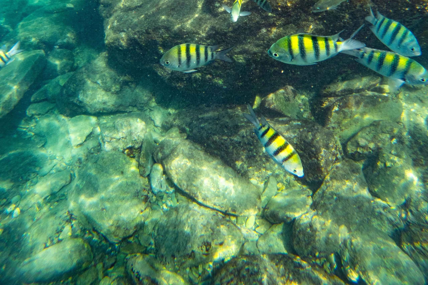 Magdalena: Tayrona Park Cruise with Snorkeling & Beaches