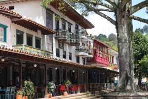 Magisk Jericó-tur och grillning på privat egendom