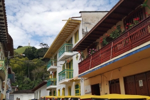 Magisk Jericó-tur och grillning på privat egendom