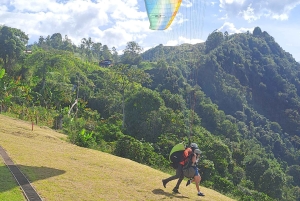 Magisk Jericó-tur och grillning på privat egendom