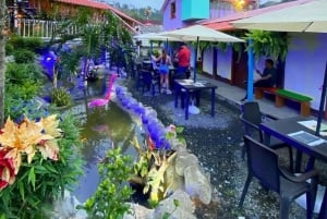 Ruta mágica casa temáticas santa rosa de cabal