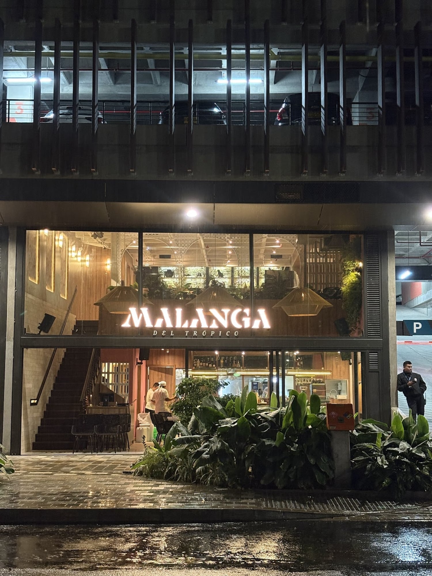 Malanga del Trópico | Ciudad del Rio