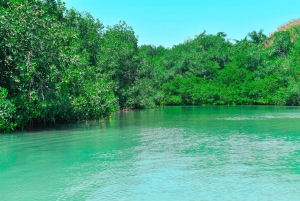 Mambo beach with mangrove and snorkel