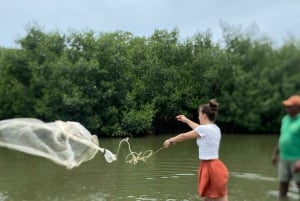 Mangrove ecotour and fishing in Cartagena's natural mangrove