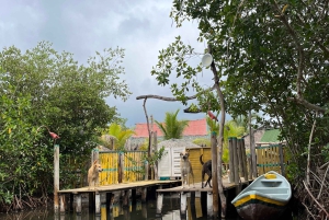 Mangrove ecotour and fishing in Cartagena's natural mangrove