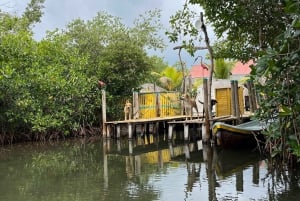 Mangrove ecotour and fishing in Cartagena's natural mangrove