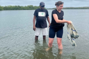 Mangrove ecotour and fishing in Cartagena's natural mangrove
