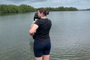 Mangrove ecotour and fishing in Cartagena's natural mangrove