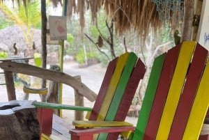 Mangrove ecotour and fishing in Cartagena's natural mangrove