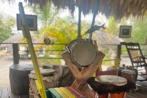 Mangrove ecotour and fishing in Cartagena's natural mangrove