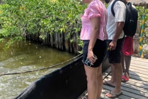 Mangrove ecotour and fishing in Cartagena's natural mangrove