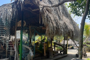 Mangrove ecotour and fishing in Cartagena's natural mangrove