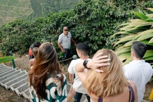 Manizales, Colombia: Coffee Tour + Barista Show