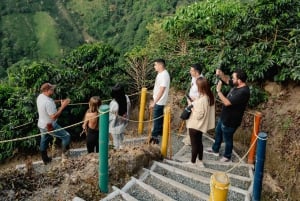 Manizales, Colombia: Coffee Tour + Barista Show