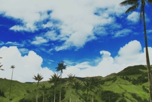 Manizales: Samaria Valley, leaving from Manizales