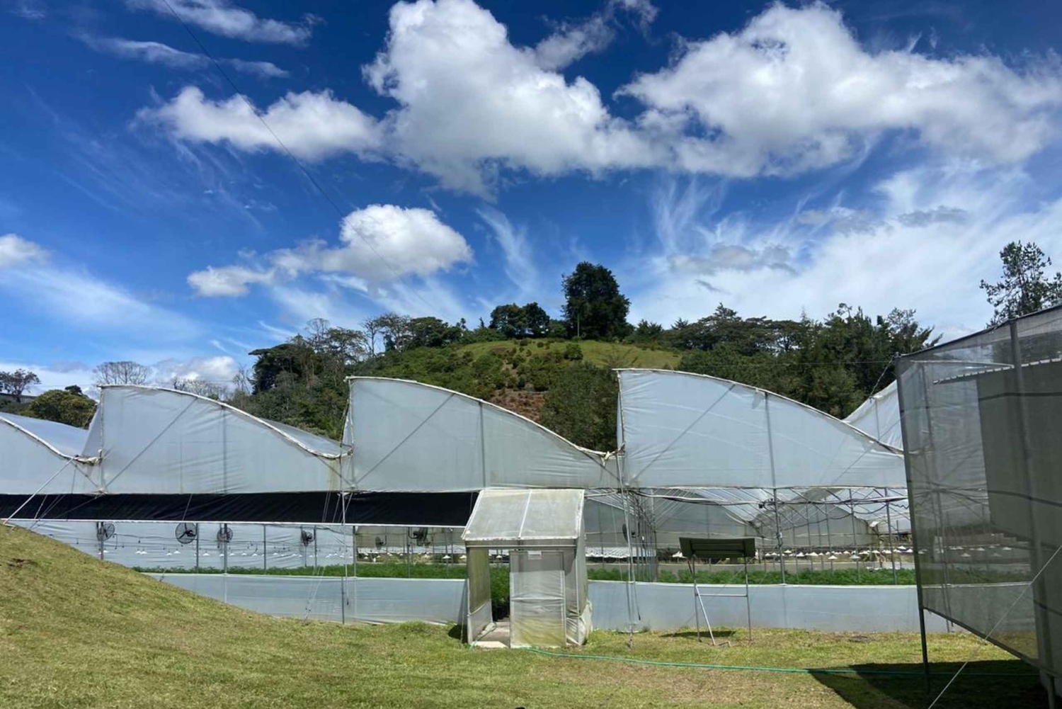 メデジン：医療用大麻を知る自然体験