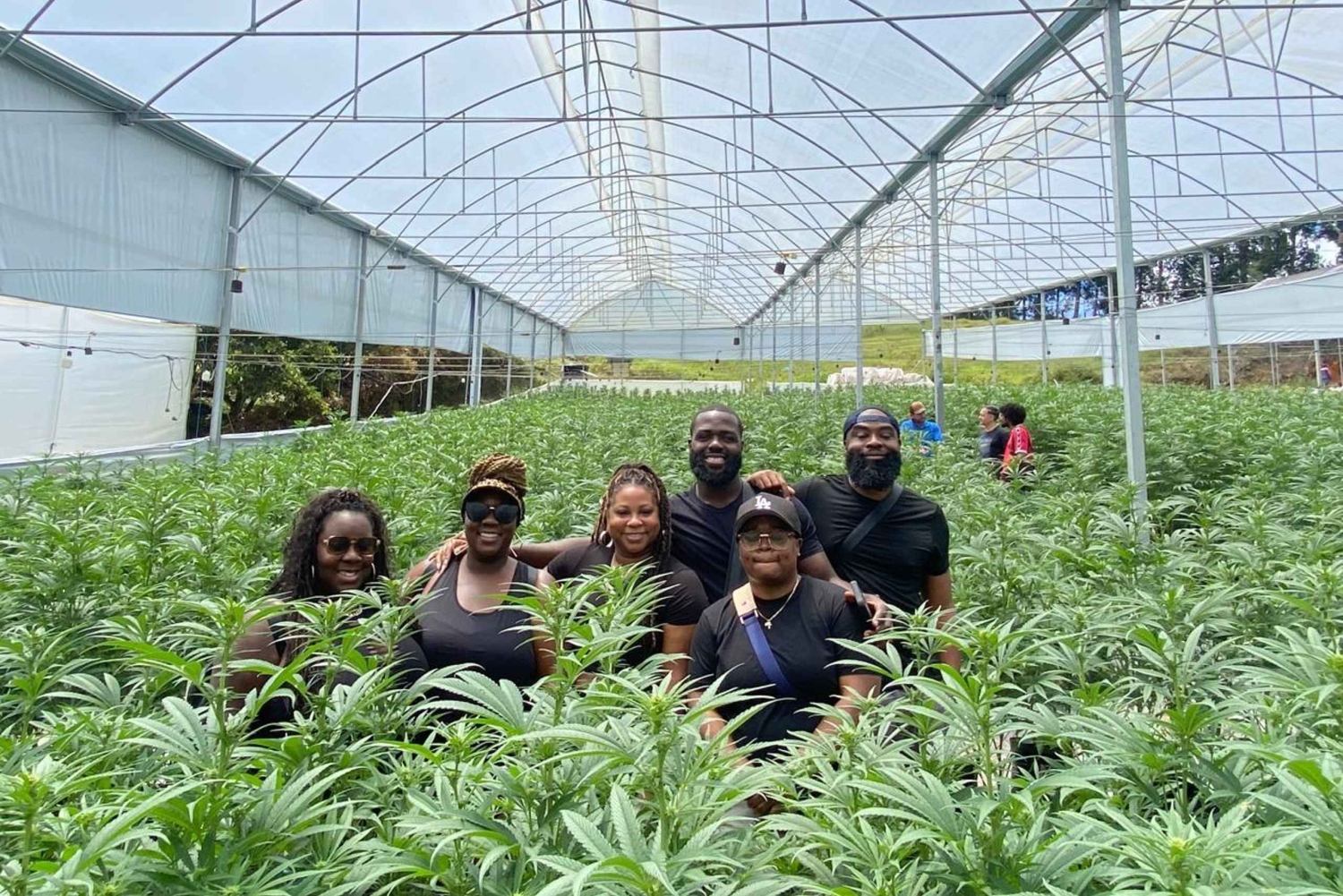 メデジン：医療用大麻を知る自然体験