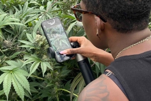 メデジン：医療用大麻を知る自然体験