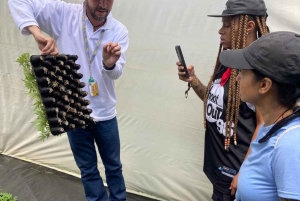 メデジン：医療用大麻を知る自然体験