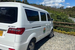 メデジン：医療用大麻を知る自然体験