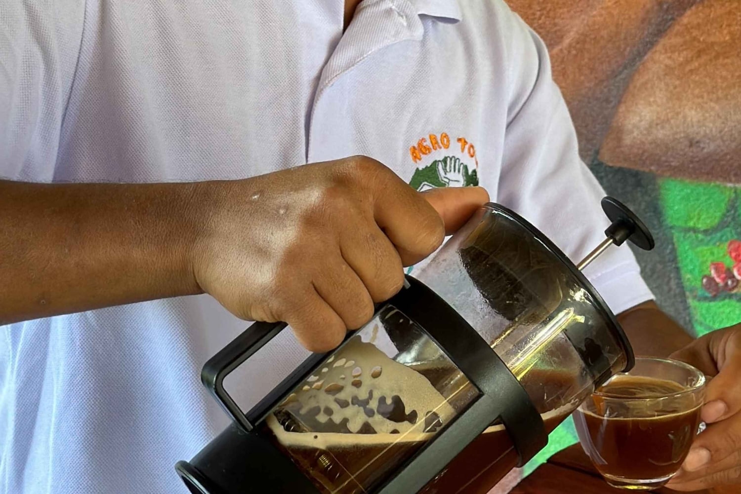 Medellín: Agro Tour El Llano with Tastings & Lunch