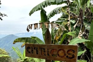Medellín : visite agricole El Llano avec dégustations et déjeuner