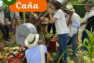 Medellin: Kahvi ja hedelmät Tour