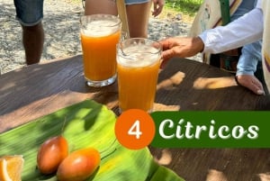 Medellin: Kahvi ja hedelmät Tour