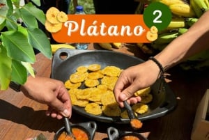 Medellin: Kahvi ja hedelmät Tour