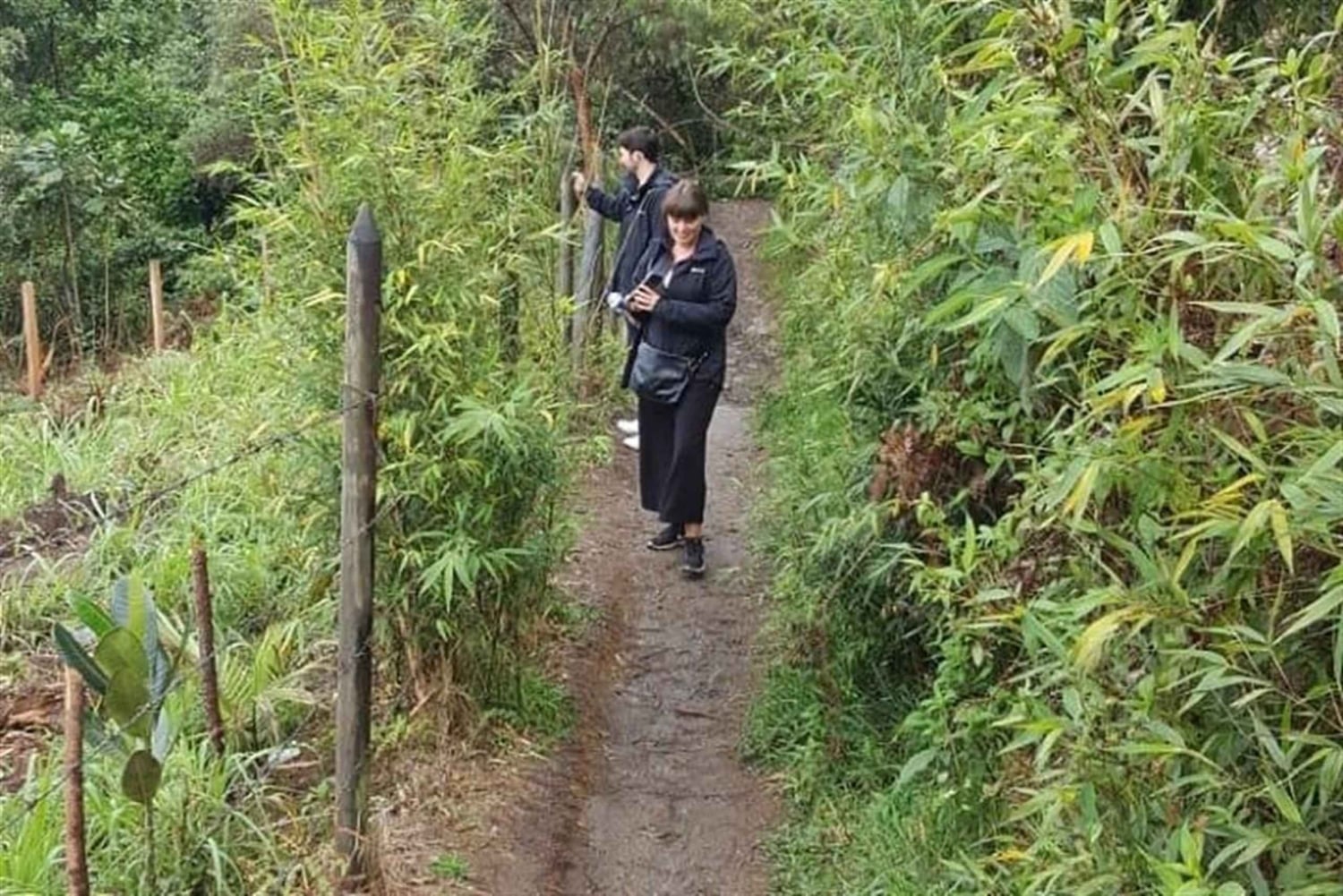 Medellin : L'étonnante réserve naturelle d'Arvi