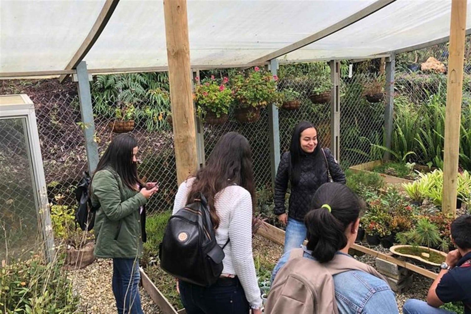 Medellin : L'étonnante réserve naturelle d'Arvi